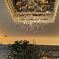 Shin Harada - 店内