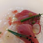 Shin Harada - 本鮪