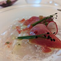 Shin Harada - 本鮪