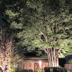 コジモ・ロレンツォ - 佇