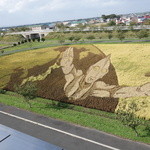 道の駅 いなかだて 弥生の里 - 田んぼアートが見られます