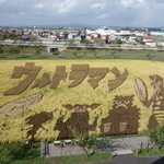 道の駅 いなかだて 弥生の里 - 展望台からの風景です