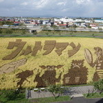 道の駅 いなかだて 弥生の里 - 展望台からの風景です
