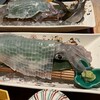 対馬のどぐろとイカ活き造り 博多 魚蔵 都ホテル店