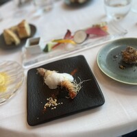 サーラ アマービレ - 