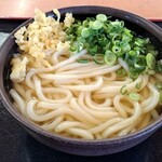 218566073 - かけうどん(大 2玉)