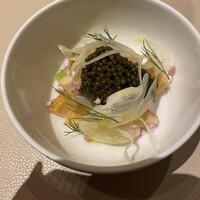 スガラボヴィー - 