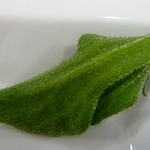 ハイタイドカフェ - 