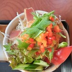 琴吹寿司 - 鮮度抜群季節の野菜とカツオのたたき入り