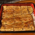 Unagi Kanona - 