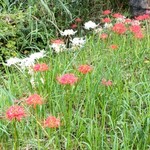 たなべ名古屋 - 