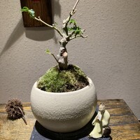 和diningひで - 