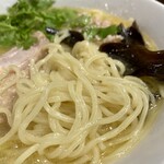Toripaitan Ramen Toribushi - 鶏白湯らーめん 麺接写。