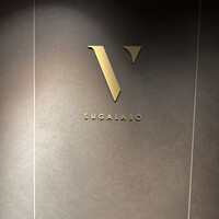 スガラボヴィー - 