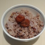 Shun Sai Shoku Kenhi Nano - 炊き込みご飯と梅干