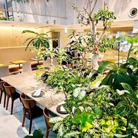 熱香森 - 