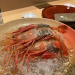 銀座 しのはら - ボタンエビ