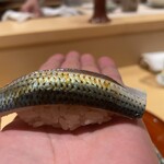 銀座 しのはら - コハダ