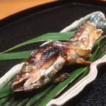 日本料理 幸庵 - 天然鮎の塩焼きアップ