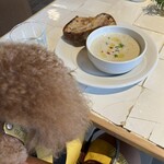 PARKER COFFEE STAND - シェリの後ろ姿ｗ