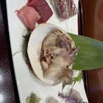 Kameki Zushi - 