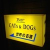 BAR CATｓ＆DOGs
