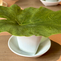 炭Kappo hirac - 