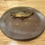 旬菜旬魚 たじま - 