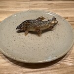 旬菜旬魚 たじま - 