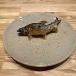 旬菜旬魚 たじま - 