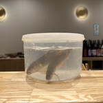 旬菜旬魚 たじま - 