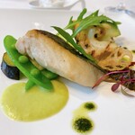 Gentillesse KOMACHI - 