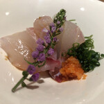 名古屋 栄 栞庵 鮨 やましろ - キジハタの刺身