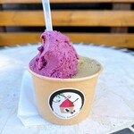 GELATERIA torinosu - 料理写真:ブルーベリーヨーグルトとほうじ茶