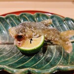 銀座 しのはら - 