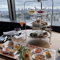 タワーズバー ベロビスト - 