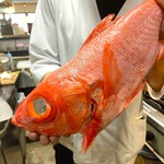 Higashimikuni Kaisenshokudou Ouesuto - 3Kサイズの金目鯛！
