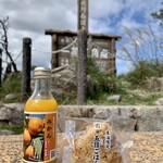 アルペン - 三重県産みかんジュース　¥500