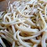 そば切 雨耕庵 - 2013.9　丸抜き 粗挽き感がおいしい☆