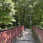 Mori no Naka no Restaurant Kodou - 