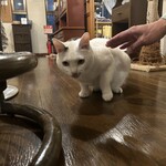 ペンション ひみつ基地 - 