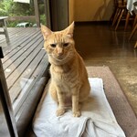 ペンション ひみつ基地 - 