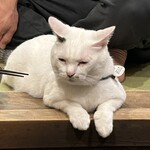 ペンション ひみつ基地 - 