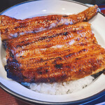 Tori Kadoya - 鰻丼は丼いっぱいの大きめサイズ
