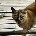 ペンション ひみつ基地 - 