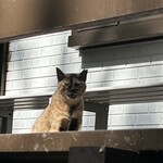 ペンション ひみつ基地 - 