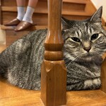 ペンション ひみつ基地 - 