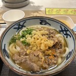 Miyatake Sanuki Udon - 