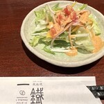 Teppanyaki Ittetsu Guranderu - ドレッシングが美味しいサラダ
