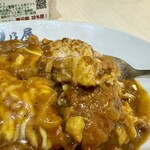 日乃屋カレー - ミルフィーユカツカレー＋チーズ